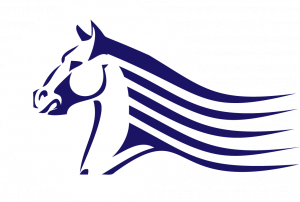 Logo Ecurie Des Nonnains